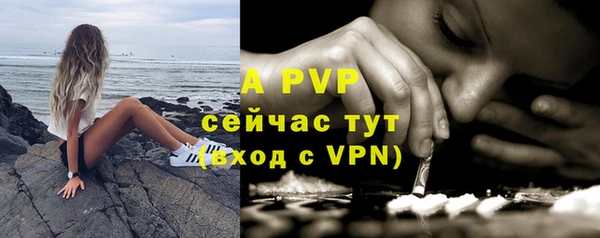Альфа ПВП Беломорск