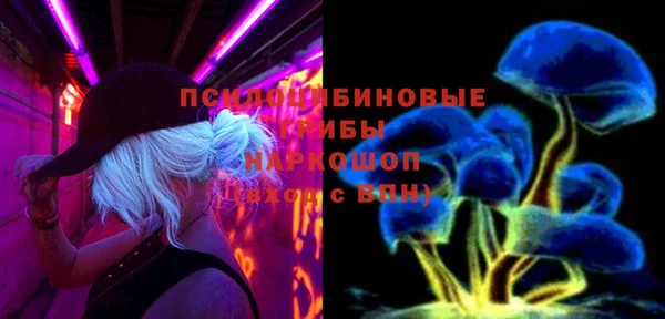 Альфа ПВП Беломорск
