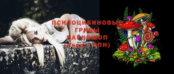Альфа ПВП Беломорск