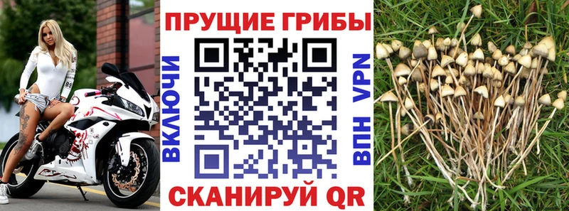 Галлюциногенные грибы ЛСД  kraken рабочий сайт  Высоковск 
