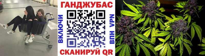 кракен маркетплейс  Высоковск  Канабис индика 